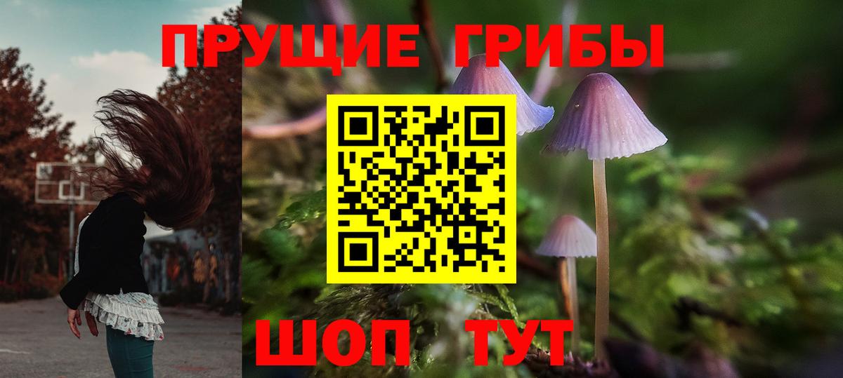 Галлюциногенные грибы Psilocybe  Псилоцибиновые грибы Cubensis  Вход с VPN  Богородск 